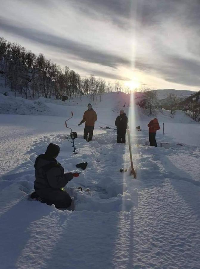 Senja Arctic Lodge Stonglandseidet Kültér fotó