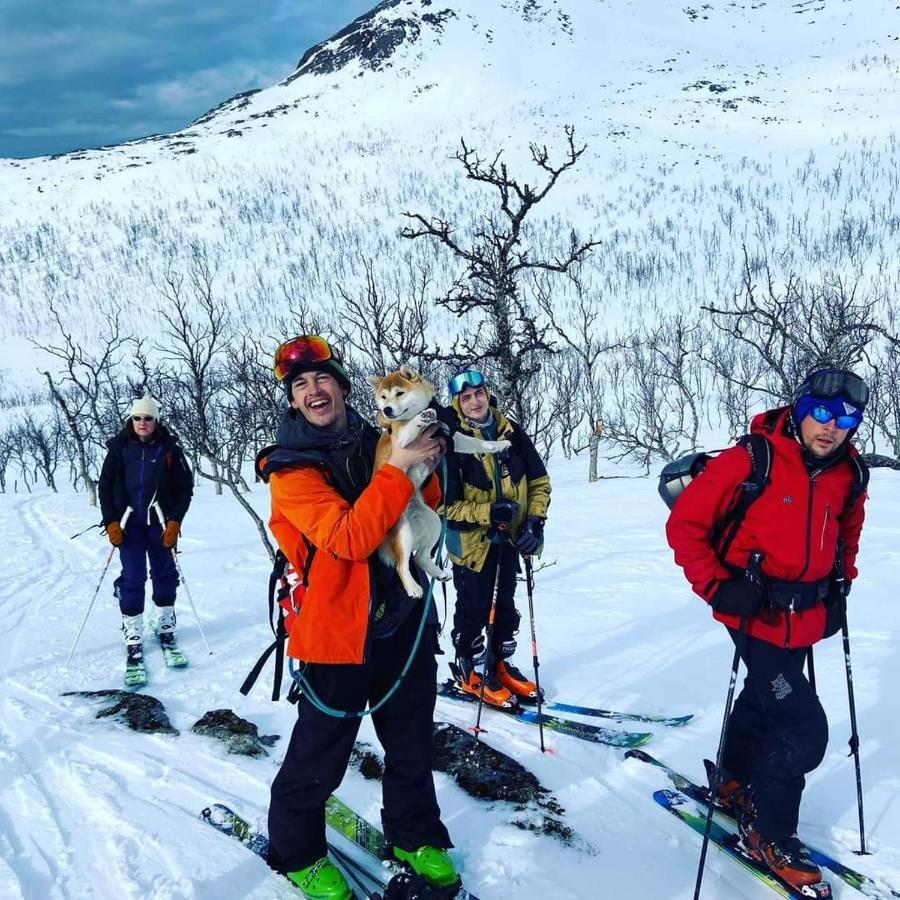 Senja Arctic Lodge Stonglandseidet Kültér fotó