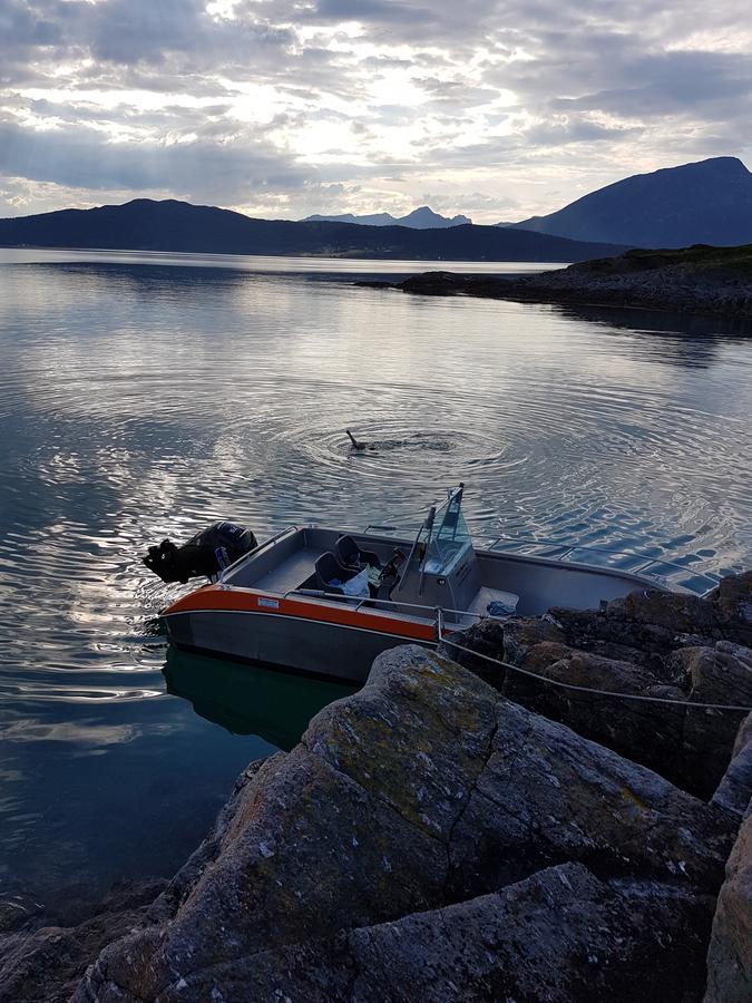 Senja Arctic Lodge Stonglandseidet Kültér fotó