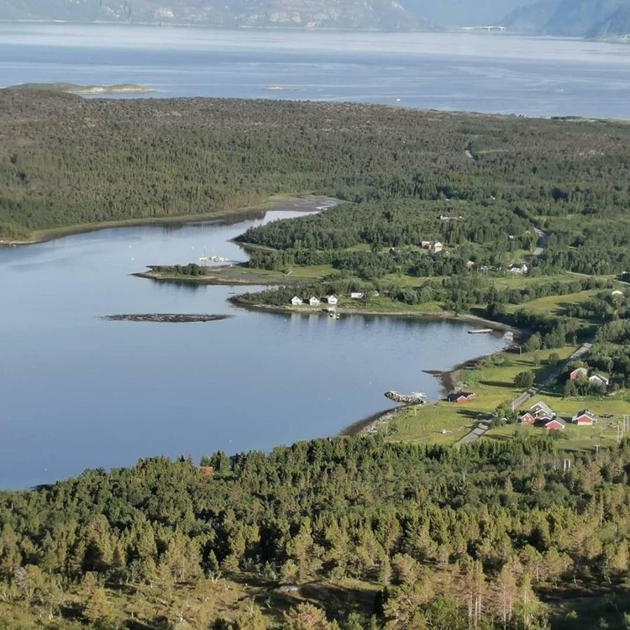 Senja Arctic Lodge Stonglandseidet Kültér fotó