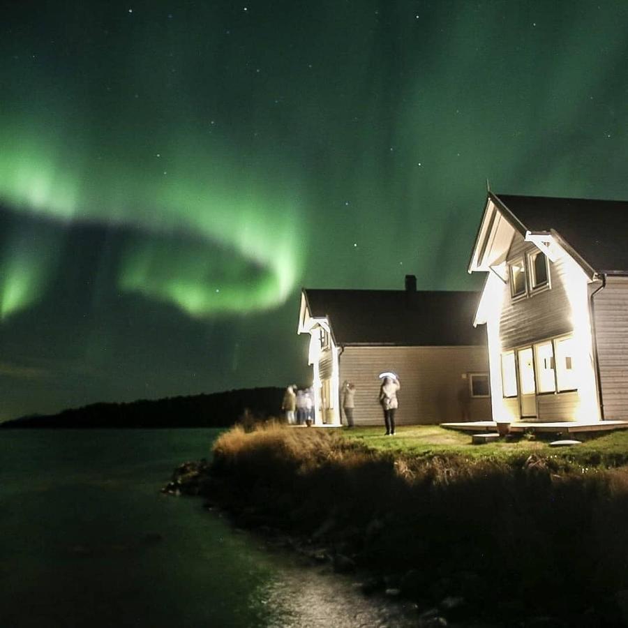 Senja Arctic Lodge Stonglandseidet Kültér fotó